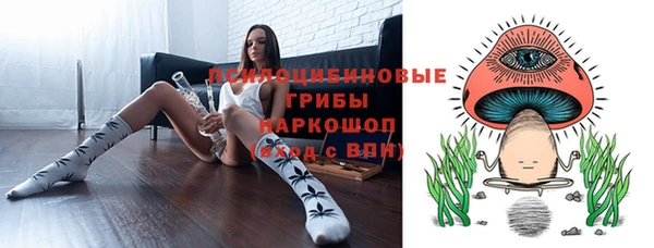 apvp Арсеньев