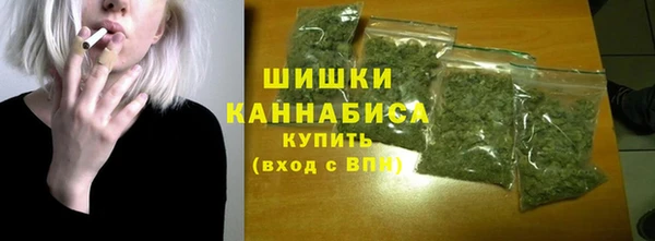 спайс Покачи