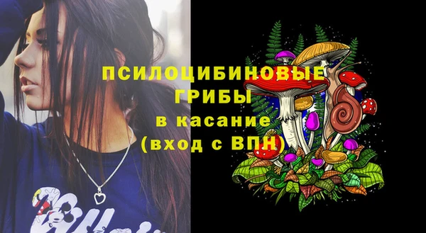 дживик Армянск